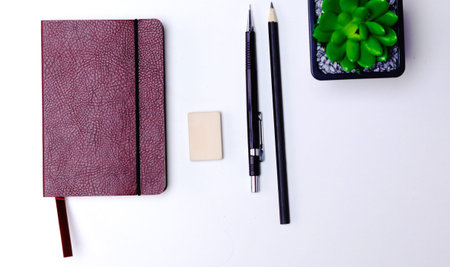 diary, pencils and cactus on the desktop