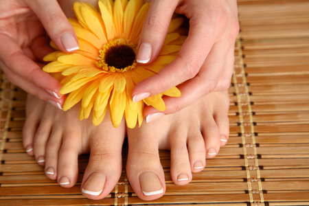 Care for beautiful woman legs with flower .の写真素材