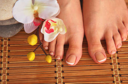 Care for beautiful woman legs with flowerの写真素材