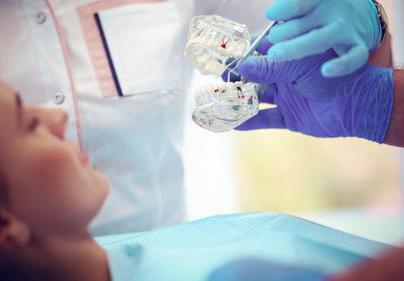 Portrait of a dentist who treats teeth of young woman patientの写真素材