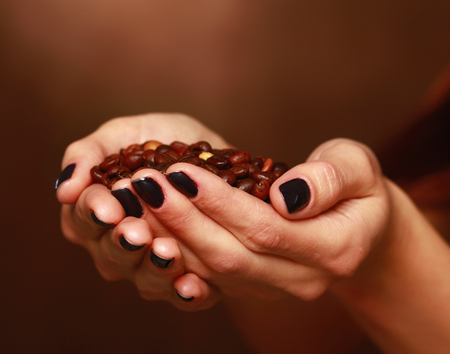 Hands holding a scoop of coffee beansの写真素材
