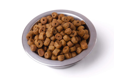 Food for dogs in a bowl , isolated on white background.