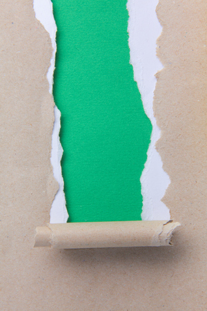 rip green paper and white background .の写真素材