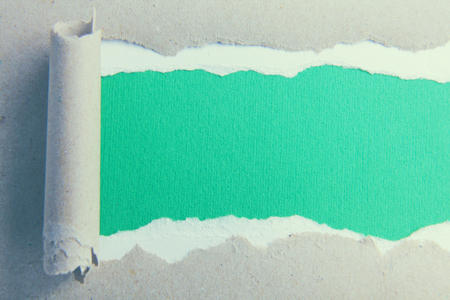 rip green paper and white background .の写真素材