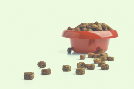Food for dogs in a bowl , isolated on white background.の写真素材
