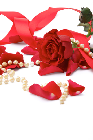 Red rose petals isolated on white background.の写真素材