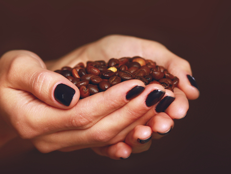 Female hands cupped holding coffee beansの写真素材