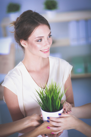 Beautiful woman holding pot with a plantの写真素材