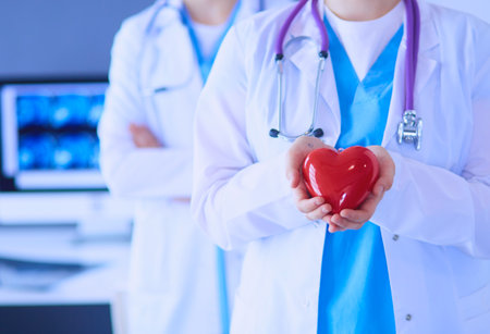 Cropped shoot of two young doctors female with stethoscope holding heart.の写真素材