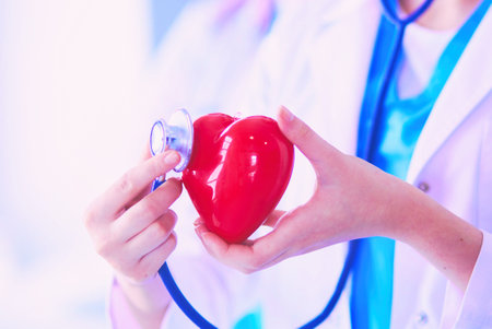 Cropped shoot of two young doctors female with stethoscope holding heart.の写真素材