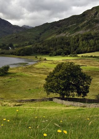 Lake District UKの写真素材