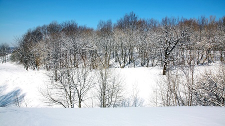April blue sky in beautiful park Nizhny Novgorod Russiaの写真素材