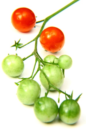 Cherry tomatoes red and green macroの写真素材