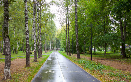 A deserted jogging tracks and walkway during the morning time in autumn public park in Nizhny...