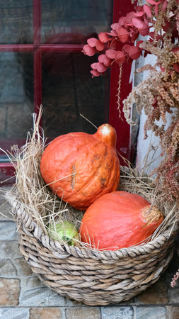 Pumpkins in a wicker basket at the cafe door as a Halloween decorationの写真素材