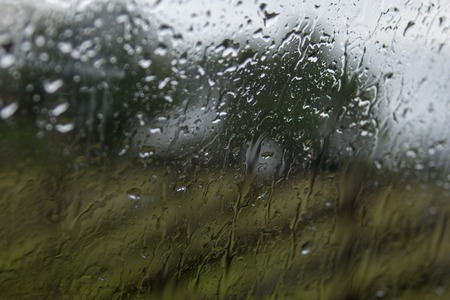 Rain drops on window with green tree in backgroundの写真素材