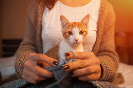Knitting woman with a kitten on her hands. Concept of loving animals, freelance creative working and happy livingの写真素材