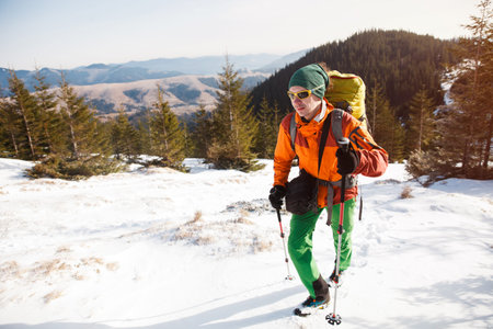 Male hiker against pine forest passing winter mountains. Concept of success living and free traveling, active leisure, health care and well being.の写真素材