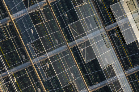 Aerial top view of greenhouse plant. Agronomy, year-round climate control and yield, indoor farming,...