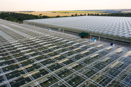 Aerial top view of greenhouse plantの写真素材