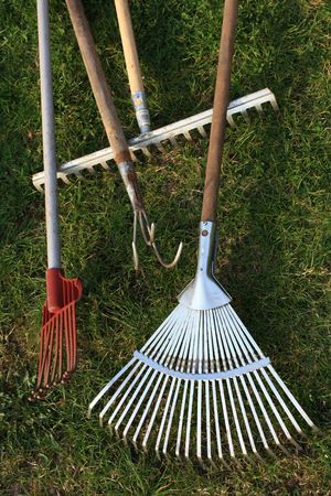 Gardening on the grassの写真素材