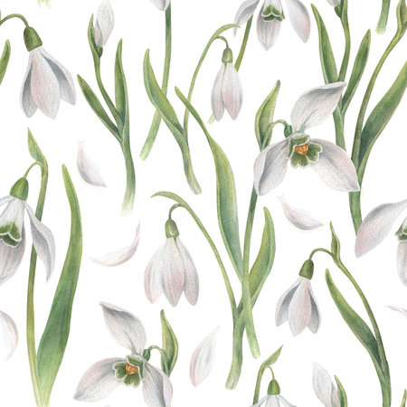 A seamless pattern with randomly arranged groups of snowdrops, leaves and petals. Watercolor illustration hand drawn and isolated on a white background. Perfect for decorating packaging, textiles, etcの写真素材