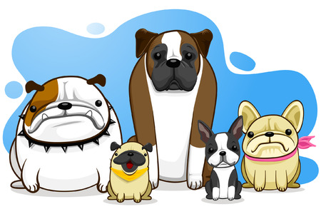 dog, bull dog, pug, boxer, French Bull Dog, Boston Terrierのイラスト素材