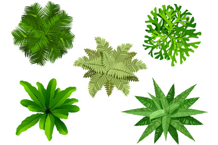 plan garden, tree top viewのイラスト素材