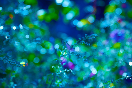Multicolour bokeh,  abstract  bright backgroundの写真素材