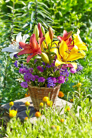 Bouquet of multicolored lily on green background gardenの写真素材