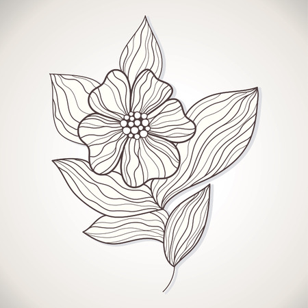 Beauty flowerのイラスト素材