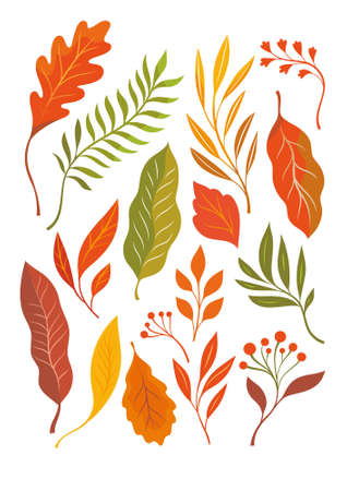 Atumnal leaves, vector illustration. Set of yellow, orange, red autumnal leavesのイラスト素材