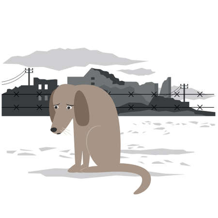 Animals are suffering during warfare. The dog on ruined houses background. Stop war, save the animalsのイラスト素材