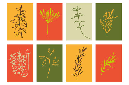 Set of hand drawn herbs. Vector illustration in doodle style.の写真素材