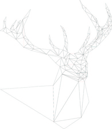 Deerのイラスト素材