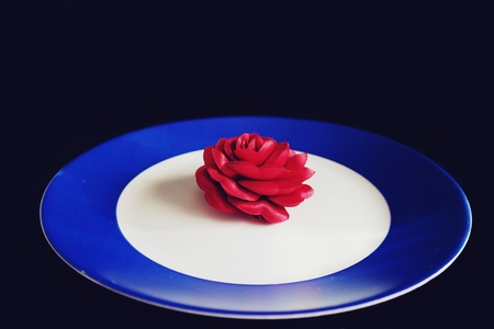 Red rose on a plateの写真素材