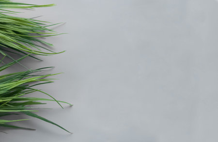 Grass