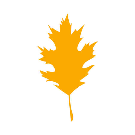 Orange autumn leaf, herbal element. Can be used as sign, symbol, icon. Fall orange leaf silhouette. Autumn botanical vector flat plant element. Stock vector illustration isolated on white background.のイラスト素材