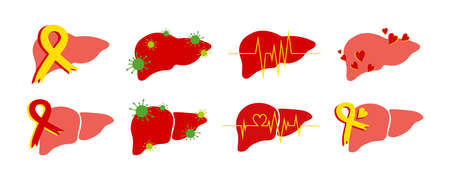 World Hepatitis Day set with liver organ, with red and yellow ribbon, with pulse line and virus picture. Can be used as icon, sticker, isolated illustration for awareness campaigns and print, July 28.のイラスト素材