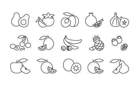Set outline food icons. Vector illustrations of fruits and berries in line art style. Concept of proper nutrition and healthy food. Vegetarian vegan linear food icons for web and mobile app.のイラスト素材