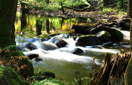 Skärån in the south of Sweden