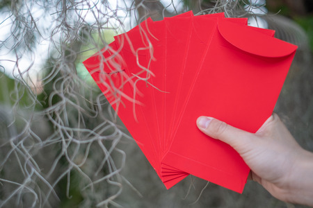 Happy Chinese new year, Hand holding red envelope or called Angpao isolated on green bokeh background from trees.の写真素材