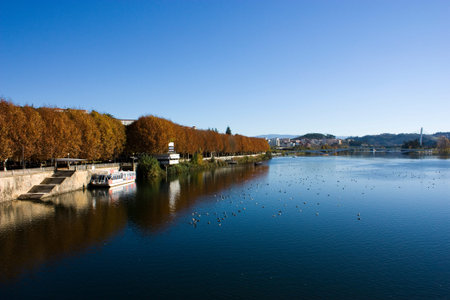 Parque do Mondegoの写真素材