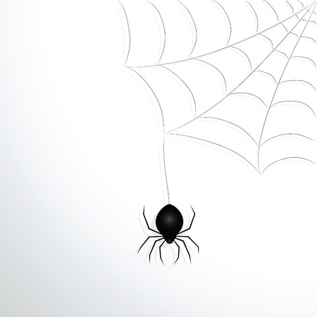 Spider web and spider. Vector illustration.のイラスト素材