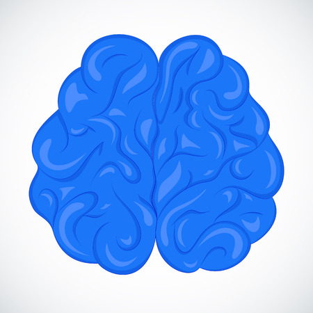 The human brain のイラスト素材