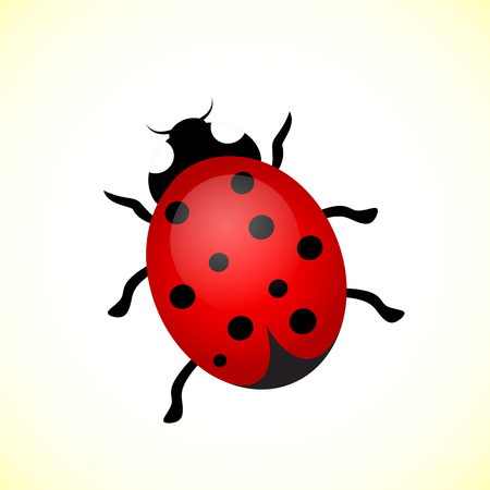 Vector illustration of a ladybird.のイラスト素材