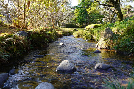 stream waterの写真素材