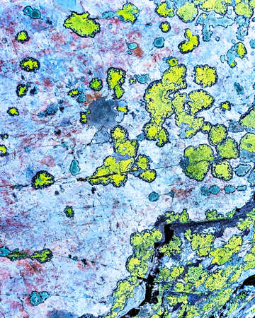 surface of the stone is covered with yellow green lichens and moss. Natural abstract textural background with copy space, beauty in nature, rocksの写真素材