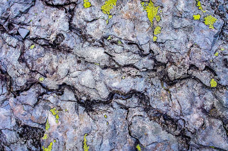 Abstract background, texture of mountain stone in green lichens, copy spaceの写真素材