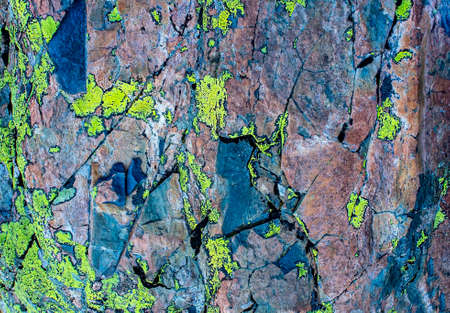 Abstract background, texture of mountain stone in green lichens, copy spaceの写真素材